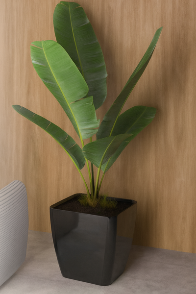 ALESS KARYA CAMENTHA